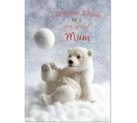 doodlecards Mum Christmas Card Polar Bear and Snowball Medium Size with Plain Envelope