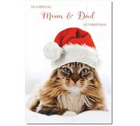 doodlecards Mum & Dad Christmas Card Cat with Santa Hat Medium Size with Plain Envelope