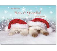 doodlecards Nan and Grandad Christmas Card Two Cats with Santa Hats Medium Size Christmas Card for Nan & Grandad with Plain Envelope