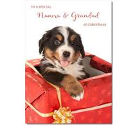 doodlecards Nanna and Grandad Christmas Card Dog in Parcel Medium Size Christmas Card for Nanna & Grandad with Plain Envelope
