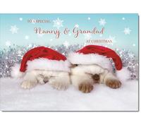 doodlecards Nanny & Grandad Christmas Card Two Cats with Santa Hats Medium Size with Plain Envelope