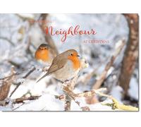 doodlecards Neighbour Christmas Card Two Robins in Tree Medium Size Christmas Card for Neighbour with Plain Envelope