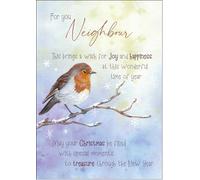 doodlecards Neighbour Christmas Card Watercolour Robin In The Frost Medium Size with Plain Envelope