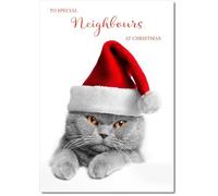 doodlecards Neighbours Christmas Card Cat with Santa Hat Medium Size with Plain Envelope