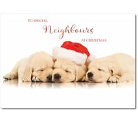 doodlecards Neighbours Christmas Card Puppies with Santa Hat Medium Size Christmas Card for Neighbours with Plain Envelope