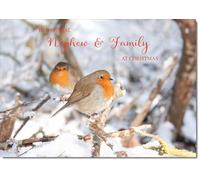 doodlecards Nephew and Family Christmas Card Two Robins in Tree | Medium Size. Includes Plain Envelope for Sending. Printed in the UK on Thick Italian Board. Eco Friendly 100% Recyclable.