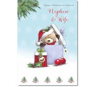 doodlecards Nephew and Wife Christmas Card Cute Bear Parcel Medium Size Christmas Card for Nephew & Wife with Plain Envelope