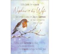 doodlecards Nephew and Wife Christmas Card Watercolour Robin In The Frost Medium Size with Plain Envelope