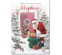 doodlecards Nephew Christmas Card Santa with Parcels Medium Size with Plain Red Envelope, 21 x 15cm