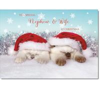 doodlecards Nephew & Wife Christmas Card Medium Size with Plain Envelope