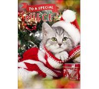 doodlecards Niece Christmas Card Cute Santa Paws Kitten Cat Pet Christmas Hat Medium Size Christmas Card for Niece with Plain Envelope