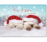 doodlecards One I Love Christmas Card Two Cats with Santa Hats Medium Size with Plain Red Envelope, 21 x 15cm