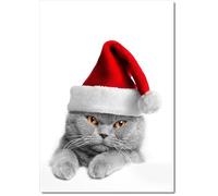 doodlecards Open Christmas Card Cat with Santa Hat Medium Size with Plain Envelope