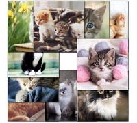 doodlecards Pack 10x Mixed Cat Blank Cards. Multipack Cats, Kittens, Kitten Square Cards with envelopes. Ideal for birthday. 100% Recyclable. Made in the UK.