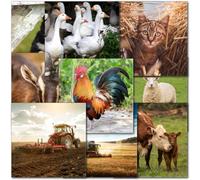 doodlecards Pack 10x Mixed Farming Happy Birthday & Blank Cards. Multipack Farm Animals, Tractor, Combine Harvester Cards with Envelopes. Made in the UK.