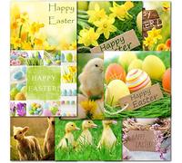 doodlecards Pack of 10 Mixed Easter Cards. Multipack Daffodils, Flowers, Chicks, Lambs, Eggs Square Cards with Envelopes.100% Recyclable. Made in the UK.