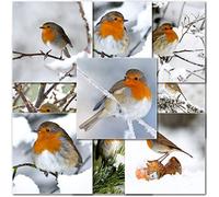 doodlecards Pack of 10 Mixed Robins Premium Square Christmas Cards. Printed in UK, Premium Quality & 100% Recyclable.