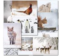 doodlecards Pack of 10 Mixed Wildlife Box Premium Christmas Cards. Printed in UK, Premium Quality & 100% Recyclable.