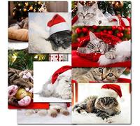 doodlecards Pack of 20 Mixed Cat Lovers standard Size Premium Christmas Cards. Printed in UK, Premium Quality & 100% Recyclable.