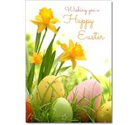 doodlecards Pack of 8 Easter Cards Daffodils & Eggs Sunny, Standard A5 Pack of 8