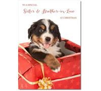 doodlecards Sister and Brother in Law Christmas Card Dog in Parcel Medium Size Christmas Card for Sister & Brother-in-Law with Plain Envelope