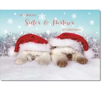 doodlecards Sister and Partner Christmas Card Two Cats with Santa Hats Medium Size Christmas Card for Sister & Partner with Plain Envelope