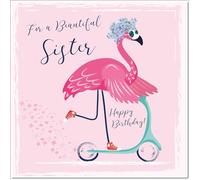 doodlecards Sister Birthday Card Flamingo Skooter Square Size with Plain Envelope