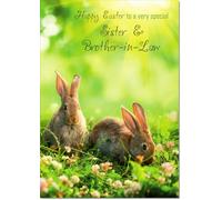 doodlecards Sister & Brother-in-Law Easter Card Two Bunnies Medium Size with Plain Envelope