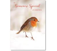 doodlecards Someone Special Christmas Card Robin on Snow Medium Size Christmas Card for Someone Special with Plain Envelope