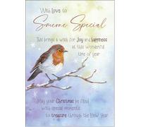 doodlecards Someone Special Christmas Card Watercolour Robin In The Frost Medium Size with Plain Envelope