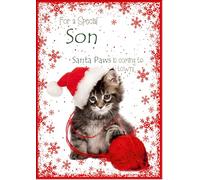 doodlecards Son Christmas Card Cute Santa Paws Kitten Cat Pet Medium Size Christmas Card for Son with Plain Envelope