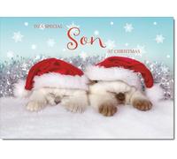 doodlecards Son Christmas Card Two Cats with Santa Hats Medium Size Christmas Card for Son with Plain Envelope