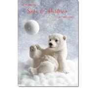 doodlecards Son & Partner Christmas Card Medium Size with Plain Envelope