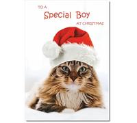 doodlecards Special Boy Christmas Card Cat with Santa Hat Medium Size Christmas Card for Special Boy with Plain Envelope