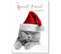 doodlecards Special Friend Christmas Card Cat with Santa Hat Medium Size with Plain Envelope