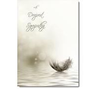 doodlecards Sympathy Condolence Bereavement Card Floating Feather
