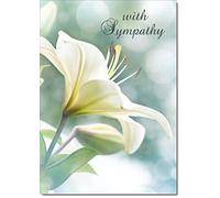 doodlecards Sympathy Condolence Bereavement Card White Lily