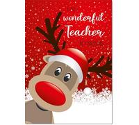 doodlecards Teacher Christmas Card Medium Size with Plain Envelope