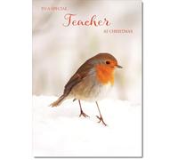 doodlecards Teacher Christmas Card Robin on Snow Medium Size Christmas Card for Teacher with Plain Envelope