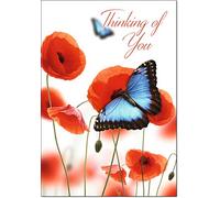 doodlecards Thinking of You Card Butterfly and Poppies Medium Size with Plain Envelope