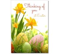 doodlecards Thinking Of You Easter Card Daffodils & Eggs Medium Size with Plain Envelope