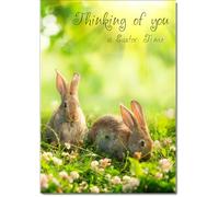 doodlecards Thinking Of You Easter Card Two Bunnies on Grass Medium Size with Plain Envelope