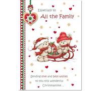 doodlecards To All The Family Christmas Card Two Cute Bears on Sled Medium Size Christmas Card for To All The Family with Plain Envelope