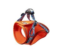 Doodlecat - Cat Harness and Lead Set - Adjustable Step In Mesh Cat Harness with Reflective Piping, Breathable Fabric and Secure Fit for Outdoor Walking - Small 28-33cm - Tangerine & Reef