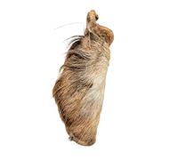 Doodles Deli Air Dried Beef Ears With Hair - 1kg
