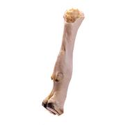 Doodles Deli Air Dried Goat Foot Natural Dog Chew, 1 kg | Naturally High Protein, Essential Amino Acids, Supports Dental Health, Healthy Dog Treat