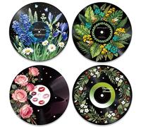 DOODLREAM 4Pcs Wildflower Botanical Vinyl Record Wall Decor 30 cm Floral Bee Rose Wall Art Posters for Room Aesthetic, Retro Record Decor for Music Party Studio Living Room DIY Craft Project