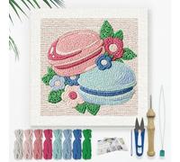 DOODLREAM Macaron DIY Punch Needle Embroidery Kit for Adult Beginner, 24cm French Dessert Punch Stitching Craft Set for Starter with Frame,Fabric Pattern,Threader, Yarn, Pinch Needle