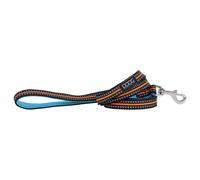 Doog Neon Dog Leash Lead Beethoven Aqua/Orange, Reflective, Waterproof