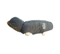 Doogy Bad Boy Down Jacket for Other Dogs